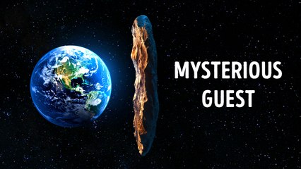 Rarest Objects That Visited Our Solar System