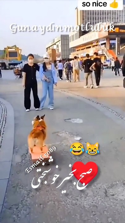 Here are some title ideas for prink comedy videos:  1. "Laugh Out Loud: Prink Comedy Frenzy" 2. "Prinkin' Hilarious: The Funniest Videos" 3. "Prink Comedy Gold: LOL Moments" 4. "The Prink Comedy Show: Humor Unleashed" 5. "Prinkin' It Up: Comedy Chaos" 6.