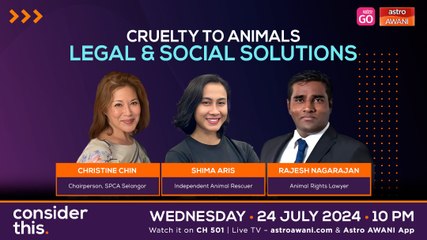 Consider This: Animal Abuse (Part 2) — Legal & Social Solutions