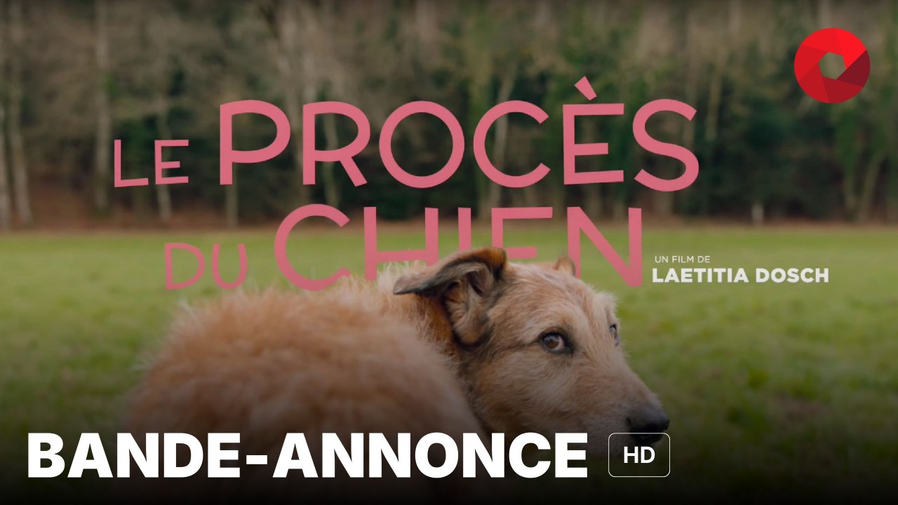 LE PROCÈS DU CHIEN de Laetitia Dosch avec Laetitia Dosch, François Damiens, Pierre Deladonchamps : bande-annonce [HD] | 11 septembre 2024 en salle