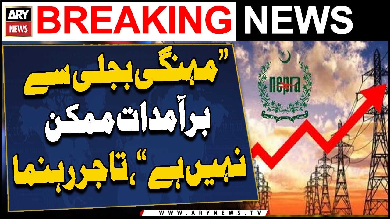 Business leaders warn high power tariffs will stifle exports