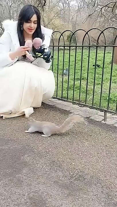 Adah_Sharma_feeding_WILD_Squirrels_in_London_!!!!_#adahsharma_#squirrel(480p)
