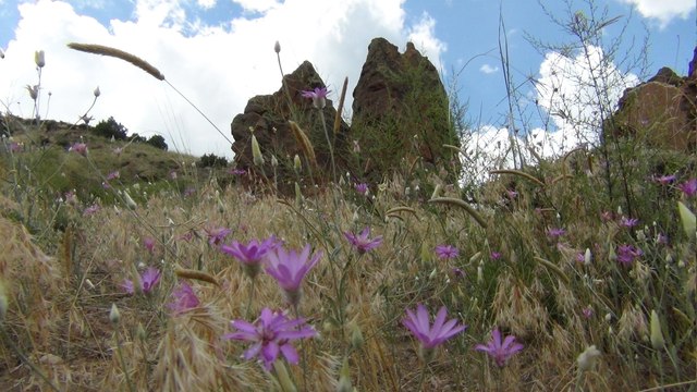 Kars'ın Peri bacaları keşfedilmeyi bekliyor