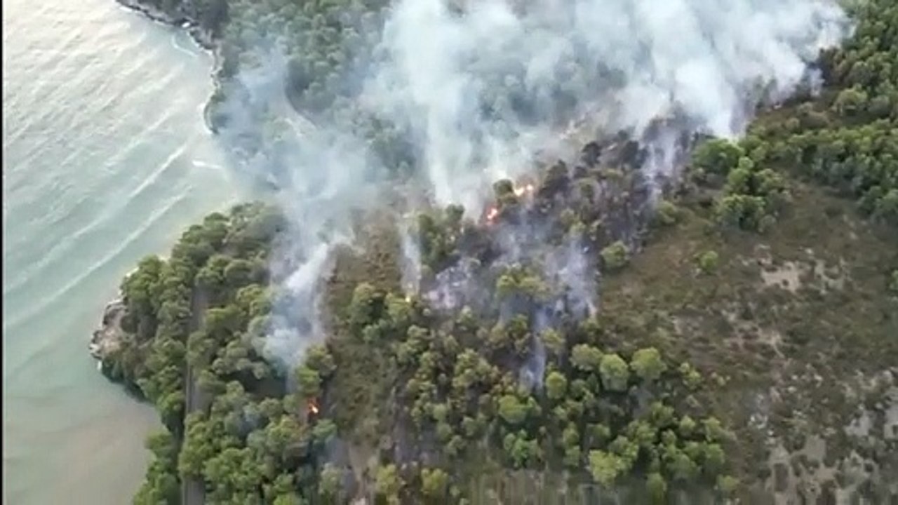Incendio a Vieste: fiamme nel bosco vicino Baia San Felice, in pericolo il vicino residence con duemila persone