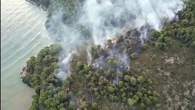 Incendio a Vieste: fiamme nel bosco vicino Baia San Felice, in pericolo il vicino residence con duemila persone