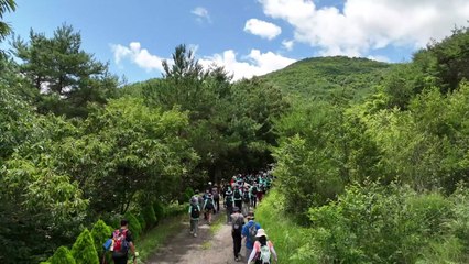 "지리산 걸으며 호연지기를"...청소년 산림생태탐방 열려 / YTN