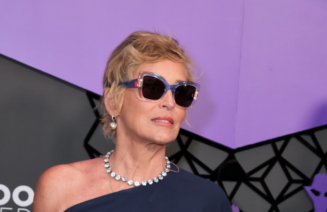 Sharon Stone: Rolle in 'Nobody 2'