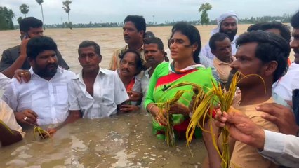 Nandamuru Village లో వరద నీటిలో దిగి Ys Sharmila వినూత్న నిరసన్ | Oneindia Telugu