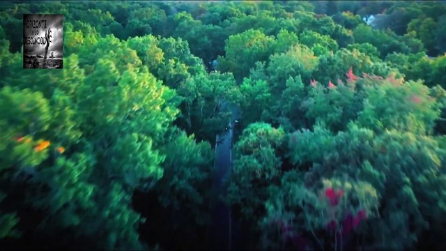 BUSCADORES DE FANTASMAS - Visita a Domicilio 1x3 paranormal