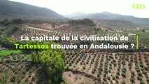 La capitale de la mythique civilisation de Tartessos retrouvée sous les sables de l'Andalousie?