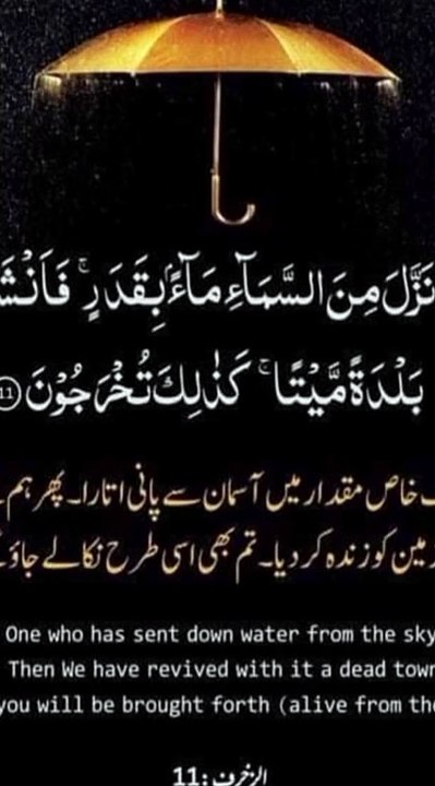 تم بھی اسی طرح نکالے جاؤ گے #trending#viral#shorts#foryou#islamic#dailymotiom#share