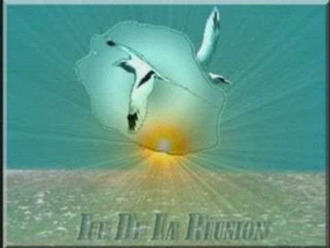 Ragga mania mon tête y bloque_0001