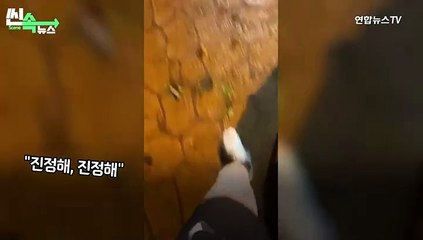 [씬속뉴스] '괴한 습격'에 흥분해 목줄 빼고 도망간 강아지…"금지옥엽 키웠는데"
