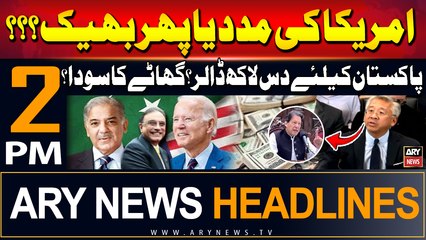 ARY News 2 PM Headlines | 24th July 2024 | USA Se Imdad?