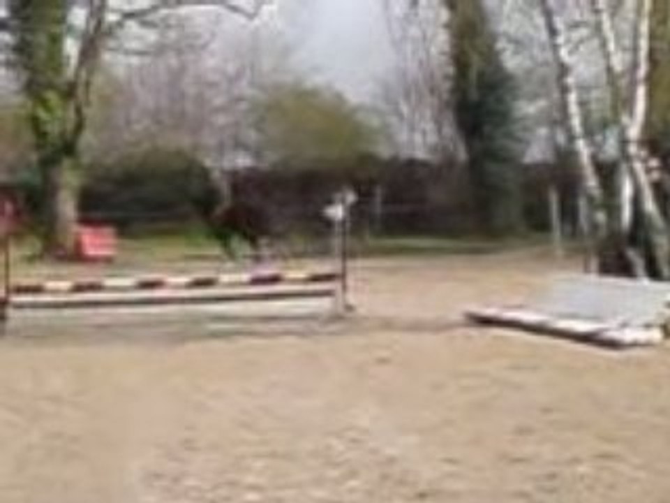 MOV00045