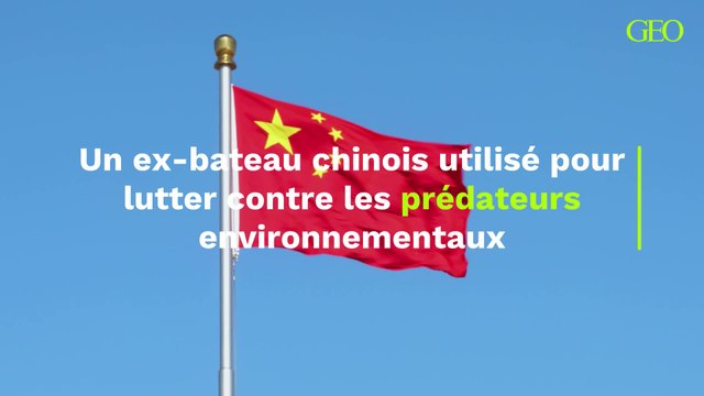 Un ex-bateau chinois saisi pour pêche illégale lutte désormais contre les prédateurs environnementaux