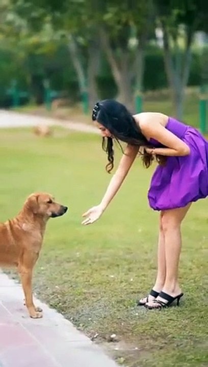 _youtube _creator _shorts _youtubeshorts _ytshorts _doglover _dogslove _poonampbisht(360P)