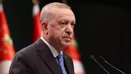 Cumhurbaşkanı Erdoğan'dan başıboş köpek düzenlemesi mesajı