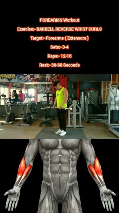 ❌ BARBELL REVERSE WRIST CURLS ✔️ How can I Build My FOREARMS Bigger?  #heermlgangaputra #naturalbodybuilding #workout #exercise #fitness #gym #muscle #training