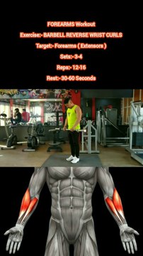 ❌ BARBELL REVERSE WRIST CURLS ✔️ How can I Build My FOREARMS Bigger? #heermlgangaputra #naturalbodybuilding #workout #exercise #fitness #gym #muscle #training