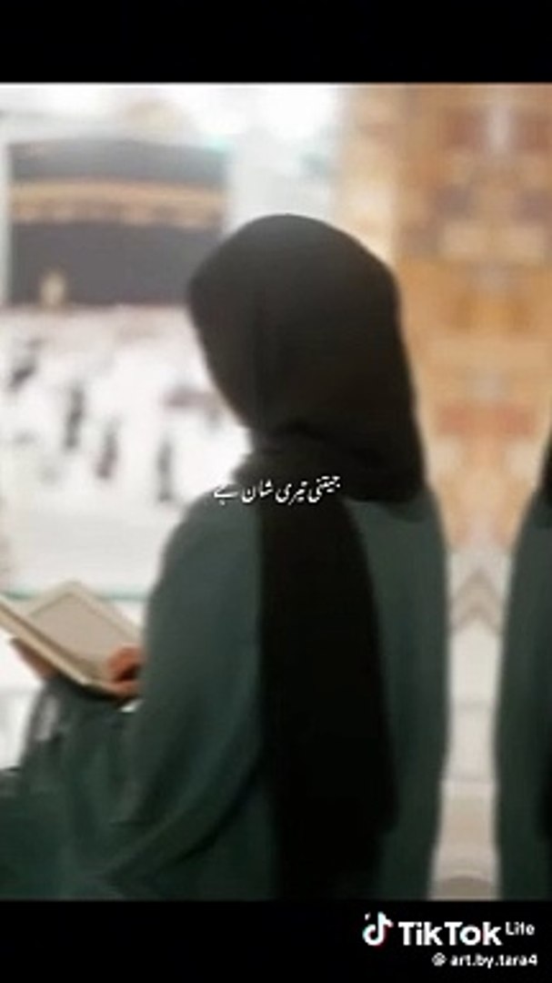 Funny videos /comedy videos