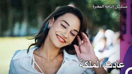 خلقت عودة مافي تأثيراً كالقنبلة - مسلسل الياقة المغبرة 34