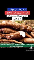 Benefits of saboo dana