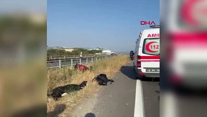 Tatyana Ozolina'nın motor kazasından yeni detaylar: Hatalı sollama yapmış