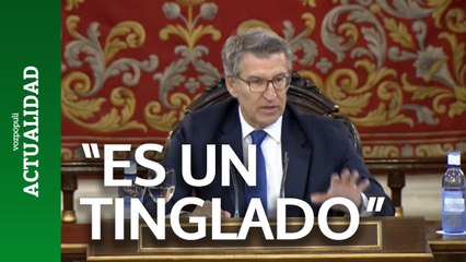 Feijóo en el Senado: "Esto no es un gobierno, es un tinglado pensado en la mera supervivencia"