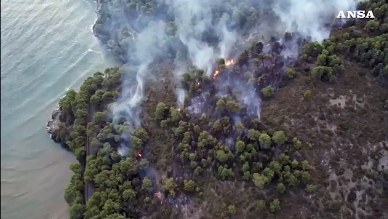 Incendio a Vieste, fiamme nel bosco di Baia San Felice