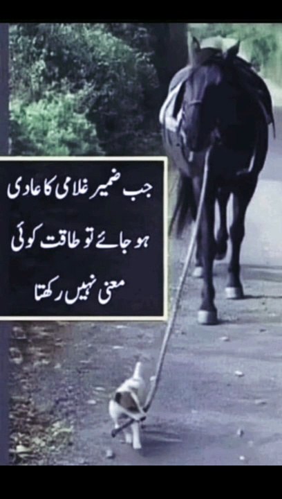 جب ضمیر غلامی کا عادی ہو جائے تو