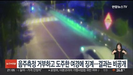 Télécharger la video: 경찰, 음주측정 거부하고 도주한 여경 징계…결과는 '비공개'