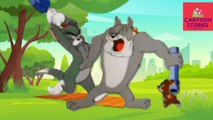 Tom And Jerry Cartoon Stories | Cartoon Stories Channel | Tom And Jerry