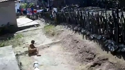 Cabra invade terreno e ataca mulher