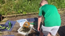 Brockholes Nature Reserve in the summer holidays