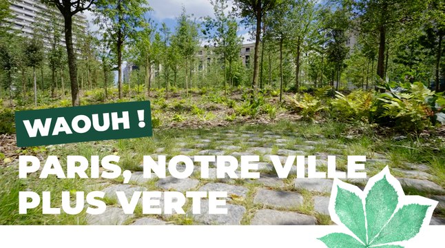 Paris, notre ville toujours plus verte ! | Paris Nature | Ville de Paris