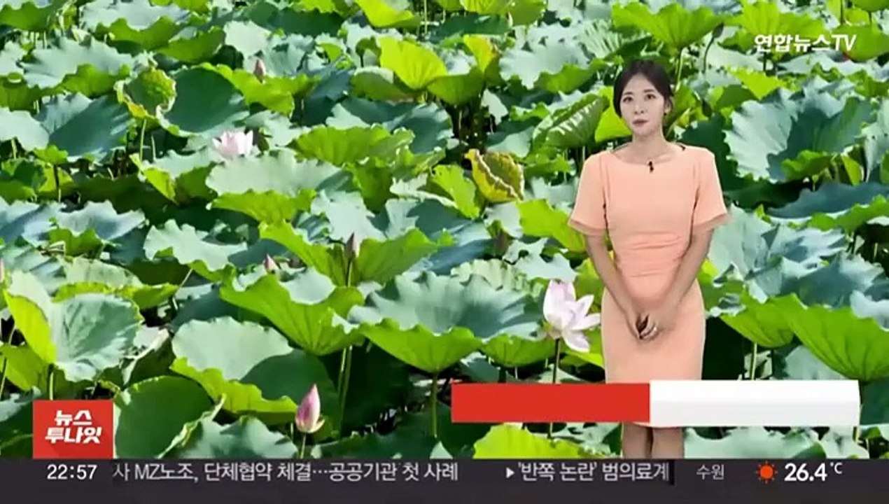 [날씨] 전국 대부분 폭염특보…무더위 속 강한 소나기