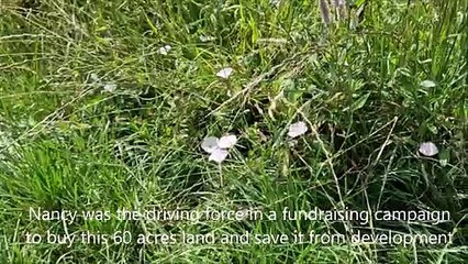 Meet actress Nancy Price and find out what she gave to Worthing