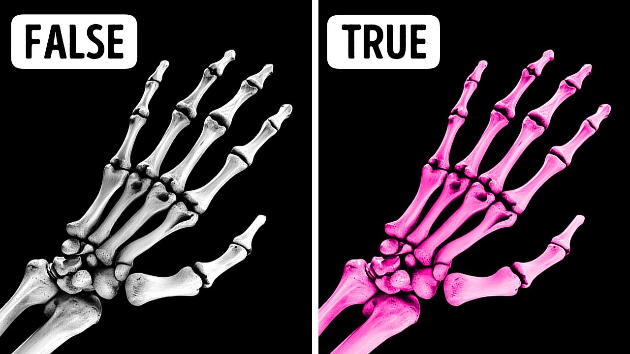 Jaw-Dropping Body Facts You'll Never Believe Without Proof