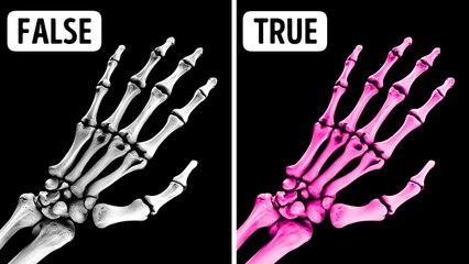 Jaw-Dropping Body Facts You'll Never Believe Without Proof