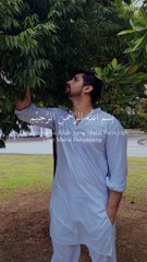 Jhoome_Jo_Pathaan_Song___Shah_Rukh_Khan,_Deepika___Vishal___Sheykhar,_Arijit_Singh,_Sukriti,_Kumaar(360p)