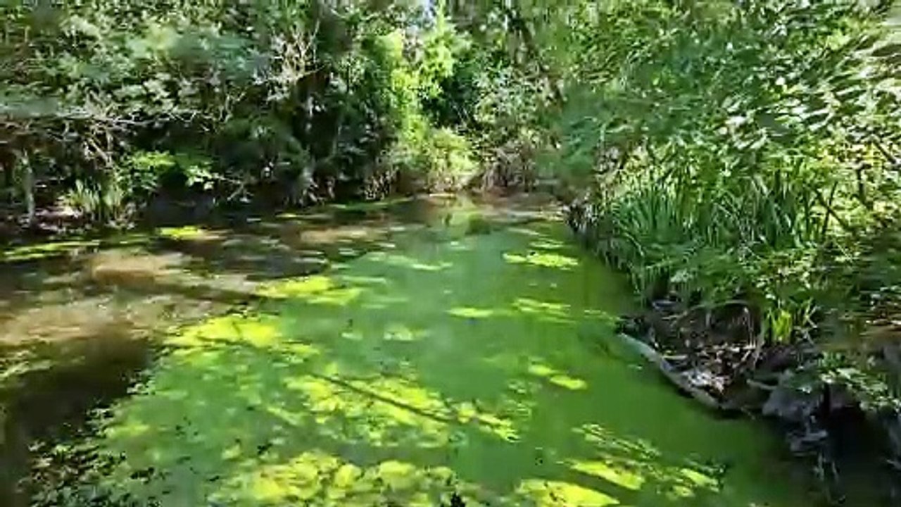 Naturschutzgebiet baltata in albena