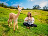 Innovative ‘alpaca yoga sessions’ being hosted at Yorkshire farm prove popular with visitors