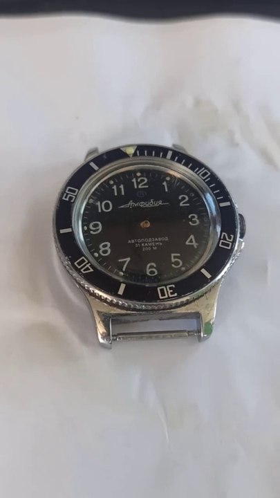 Vostok amphibian with Swiss Ronda GMT movement.