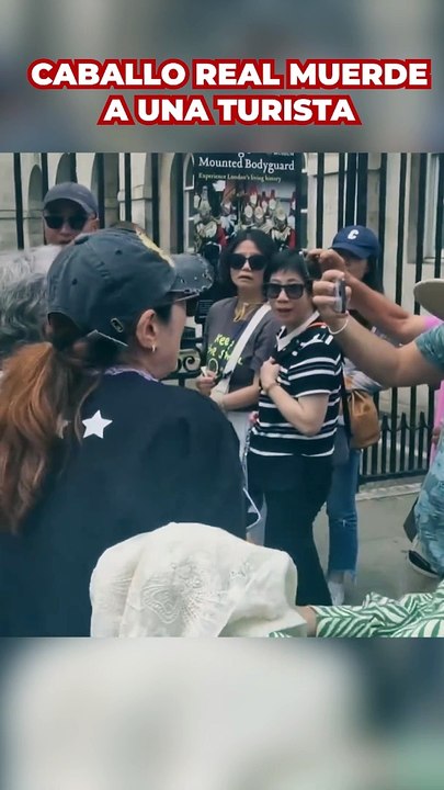 Un caballo de la Guardia Real inglesa muerde a una turista que intentaba hacerse una foto con ella