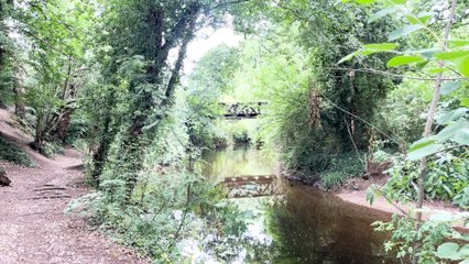 Boy, 8, named after drowning in River Arrow in Warwickshire