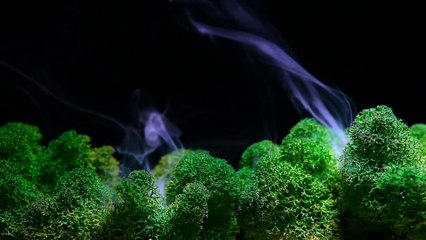 Surah Rahman beautiful voice | Qari muavia Qasmi | #Quran Oft Day