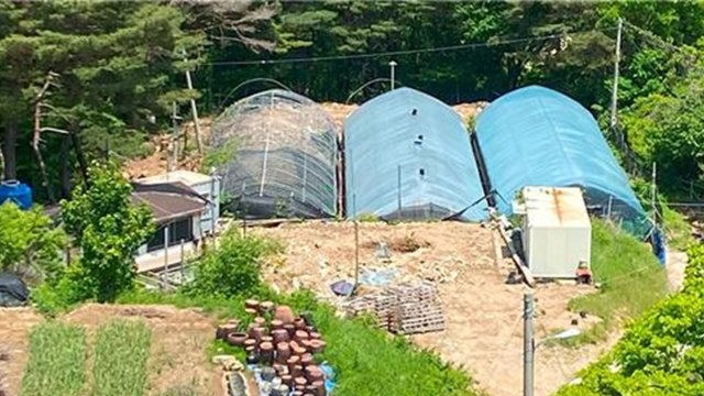 다크웹 통해 직접 재배한 대마 판매 일당 검거 / YTN