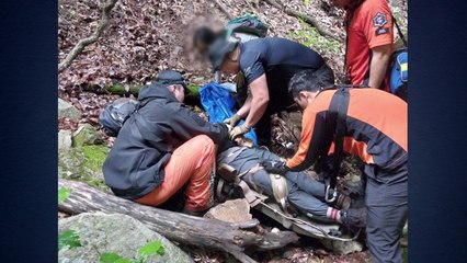 경북 봉화군에서 등산객 2명 실족...4시간 만에 구조 / YTN