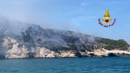 Le fiamme avvolgono i boschi intorno a Vieste